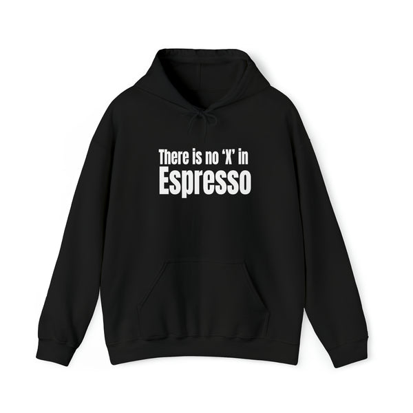There is no X in Espresso Unisex Heavy Blend™ Hooded Sweatshirt